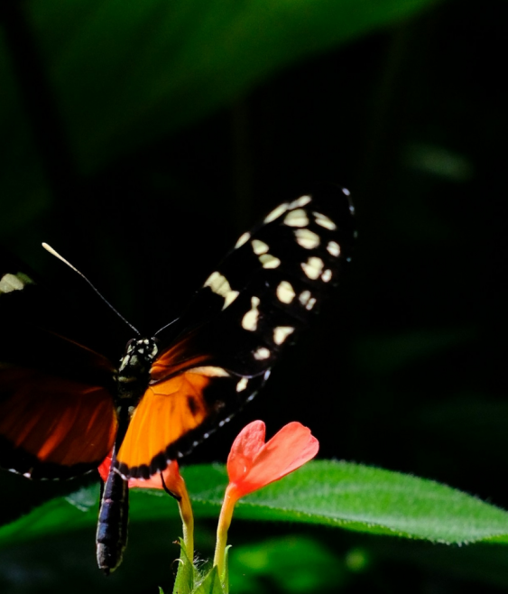 Leading with language and respect