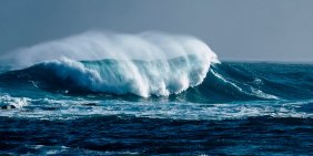 ‘Make space for how they lead’ – Māori voices in rugby governance