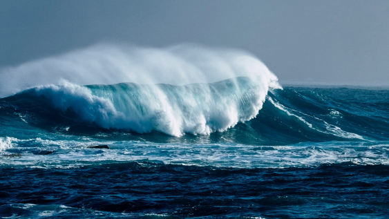 ‘Make space for how they lead’ – Māori voices in rugby governance