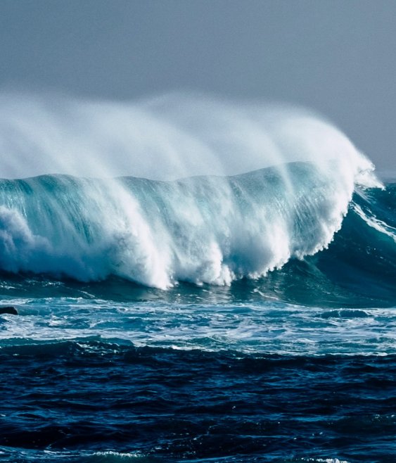 ‘Make space for how they lead’ – Māori voices in rugby governance