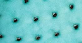 When familiar risks become blind spots