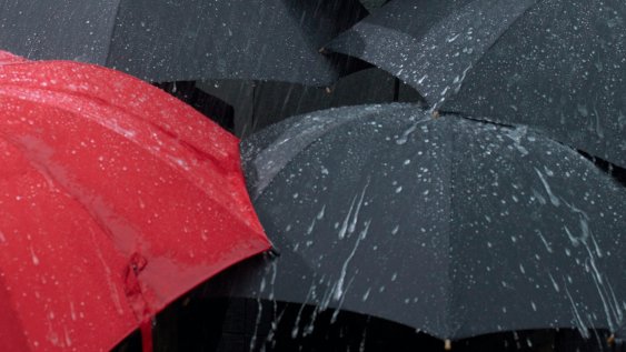 Mood or menopause? Why midlife transition is a governance issue