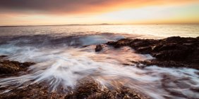 Nature: a practical lens for ESG and climate risk