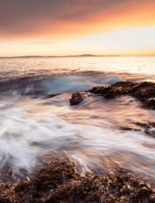Nature: a practical lens for ESG and climate risk