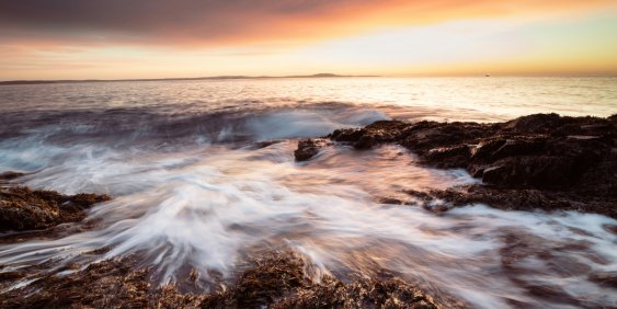 Nature: a practical lens for ESG and climate risk