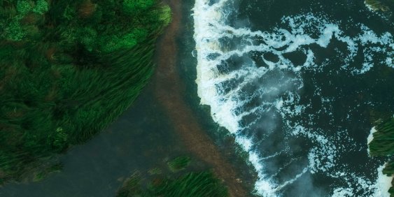  Overhead perspective of the ocean meeting green trees, highlighting the natural beauty of the landscape.