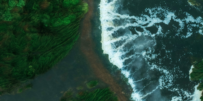 Overhead perspective of the ocean meeting green trees, highlighting the natural beauty of the landscape.