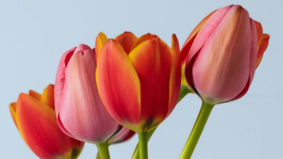 People first, systems second: governing for equity in an age of AI