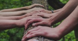 Purpose before profit: Navigating the unique challenges of NFP boards