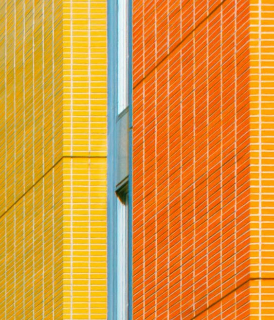 Reducing risk: cementing nature as infrastructure