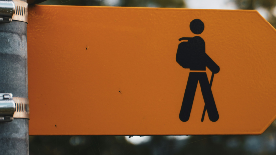 IMHO: So you’ve done the Company Directors’ Course. Now what?