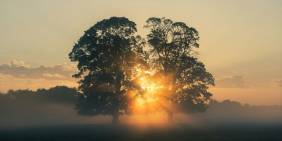 Economic ‘green shoots’ are real, say directors