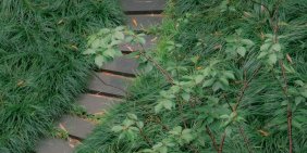Sustainability moves into the growth agenda