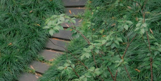 Sustainability moves into the growth agenda
