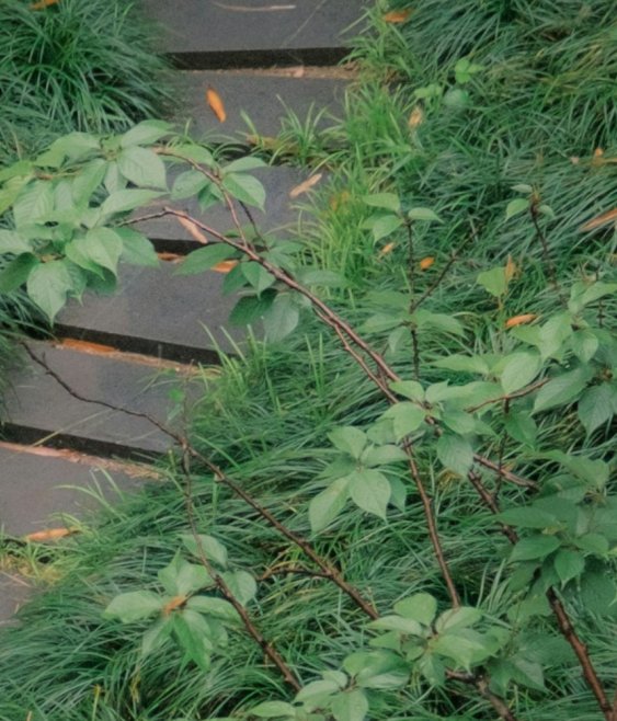 Sustainability moves into the growth agenda