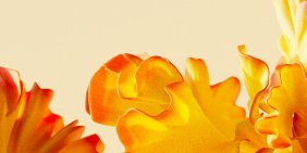 Sustainability still shapes trust, choice and expectations