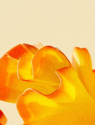 Sustainability still shapes trust, choice and expectations