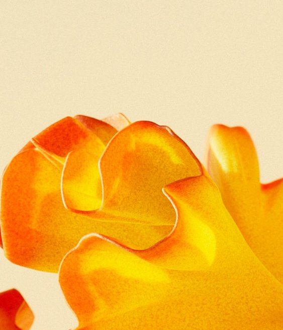 Sustainability still shapes trust, choice and expectations