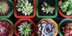 The hidden value of cognitive diversity for boards and leadership teams