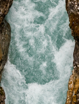 The missing voice in sustainability decisions