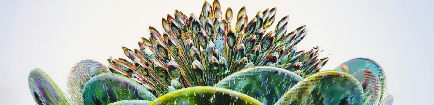 A vibrant flower with a green stem and leaves, showcasing its natural beauty and delicate features.