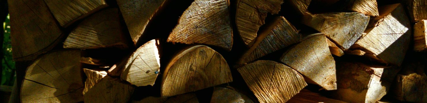 Stacked firewood in dappled sunlight, highlighting rough textures and rich wood grains. 