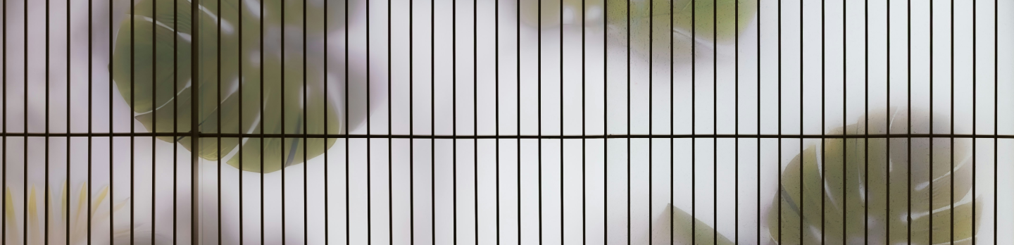 Close-up of a window with a single green leaf pressed against the glass, showcasing a blend of nature and architecture.