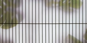 The quantum risk hidden in old breaches