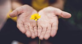 Trust under pressure, but not beyond repair