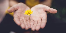 Trust under pressure, but not beyond repair