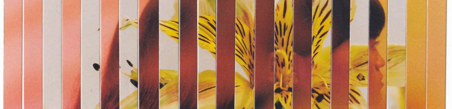 A bright yellow flower is positioned before a wall featuring bold stripes, enhancing the overall aesthetic.