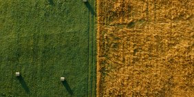 Volatility is a given. Governance is the difference