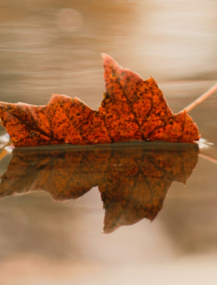 Was this our fault – or Mother Nature?