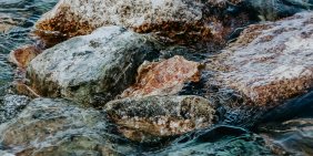 Tighter budgets put nature investment to the test