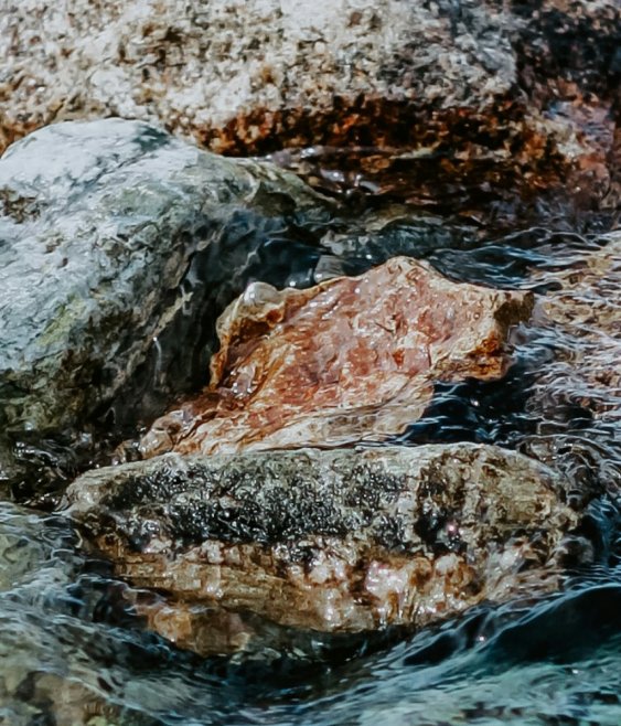 Tighter budgets put nature investment to the test