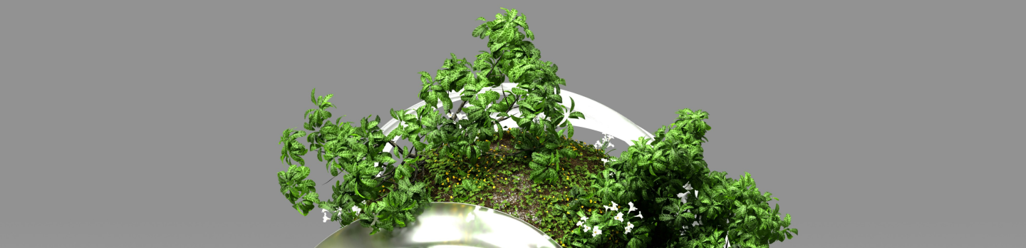 A green plant growing inside a metal sphere, set against a clean white background.
