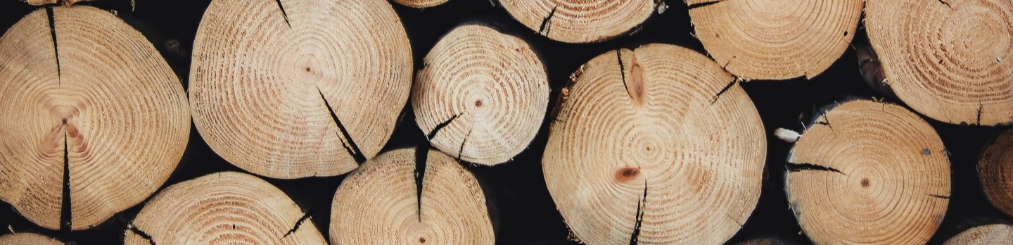 Close-up of stacked cut wood logs showing circular growth rings, dark cracks, and warm tan textures against a black background; rustic, natural mood.