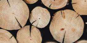 Forestry slash and directors’ duties: when environmental risk becomes personal
