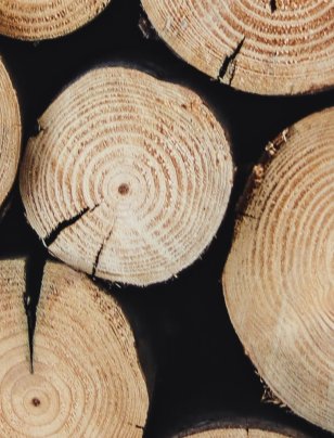 Forestry slash and directors’ duties: when environmental risk becomes personal