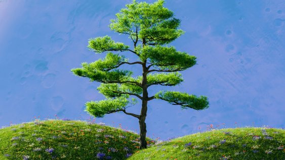 Can forestry change before calamity forces it to? 