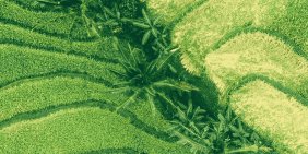 Agribusiness’ future is electric