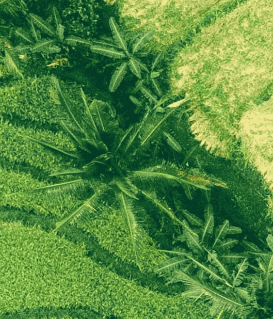 Agribusiness’ future is electric