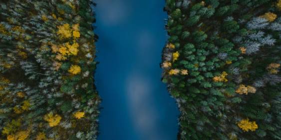 Overhead perspective of a river flowing through a lush forest, highlighting the vibrant greenery and waterway.