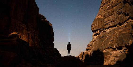 Wellington changemakers receive governance top honour