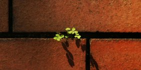 What a 450-year-old house can teach directors about sustainability