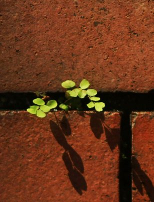 What a 450-year-old house can teach directors about sustainability