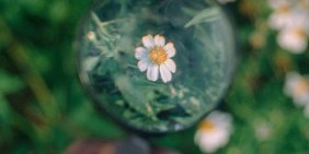 What public sector boards can learn from private sector discipline