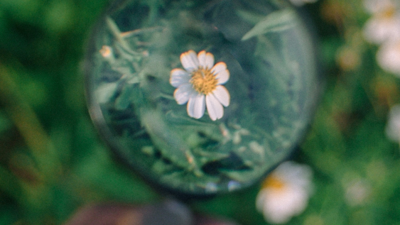 What public sector boards can learn from private sector discipline