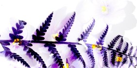 Why are we paying twice?