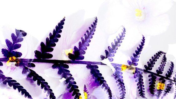 Why are we paying twice?